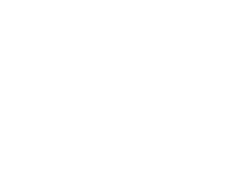 Eagle Infrastructure | Directional Drilling | Excavating | Trenching | Aerial